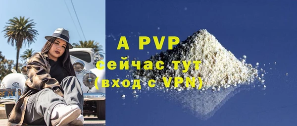 хмурый Белокуриха