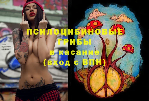 бошки Беломорск