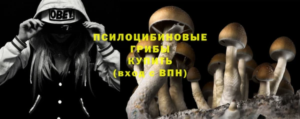 бошки Беломорск