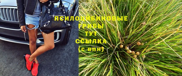 хмурый Белокуриха