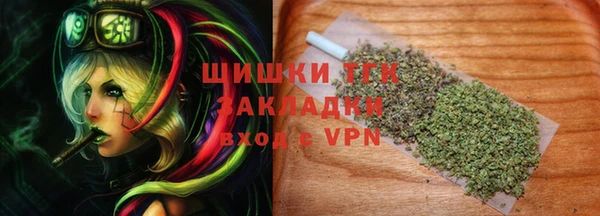 хмурый Белокуриха